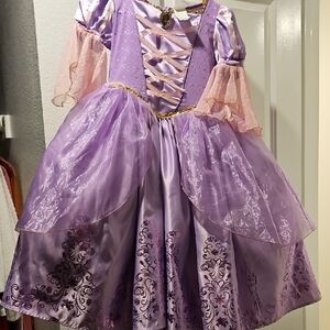 Disney Purple and Pink Theater Costumes